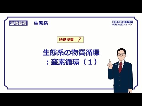 窒素循環に影響を与える「マリンスノー」