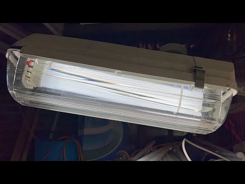 Philips FGS104 36W PL-L