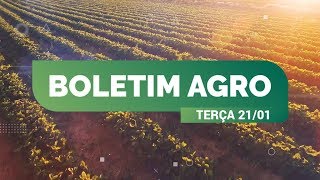 Miniatura do vídeo