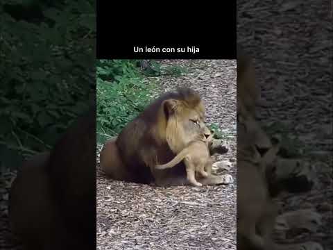 Un papá cuidando de su niña #papa #foryou #selva #amazonas