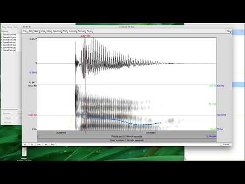 PRAAT 21  Microprosody