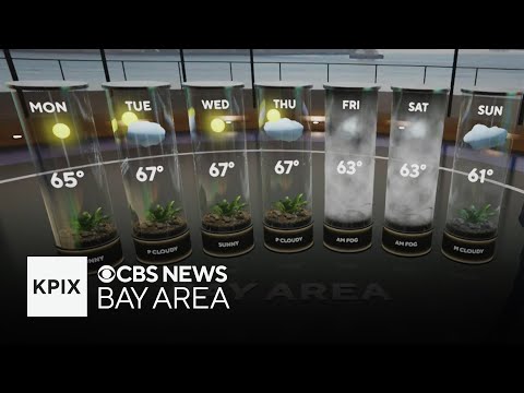 Feb Month Weather Forecast