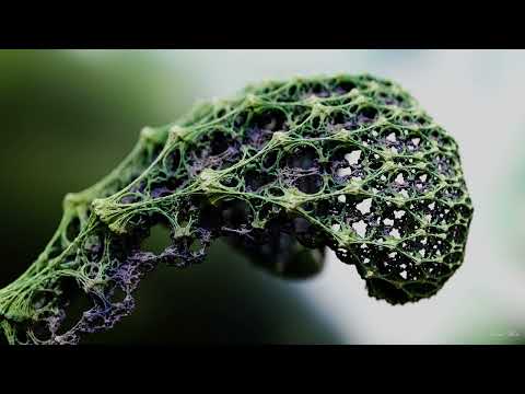 Filip Nikolaevic - Retro Set (California Sunshine at Makis)