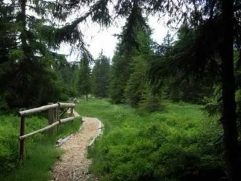 Money Maxx - Ich weis was ich mach (JCR)