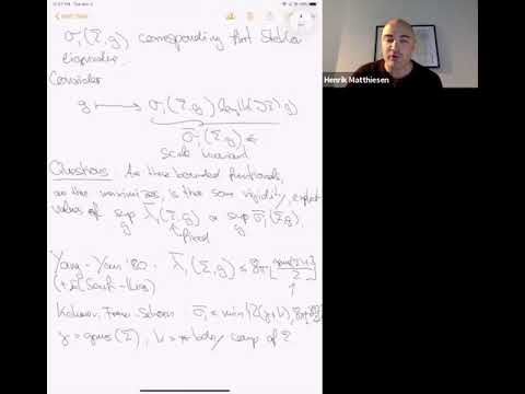 Henrik Matthiesen - New minimal surfaces from shape optimization