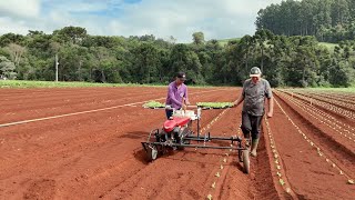 Miniatura do vídeo