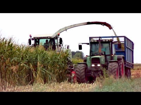 Kukurydza na kiszonke 2018! ⚫ Spławie na usługach ⚫ Claas, Fendt, 3xJohnDeere, Pronar, Fortshritt ⚫