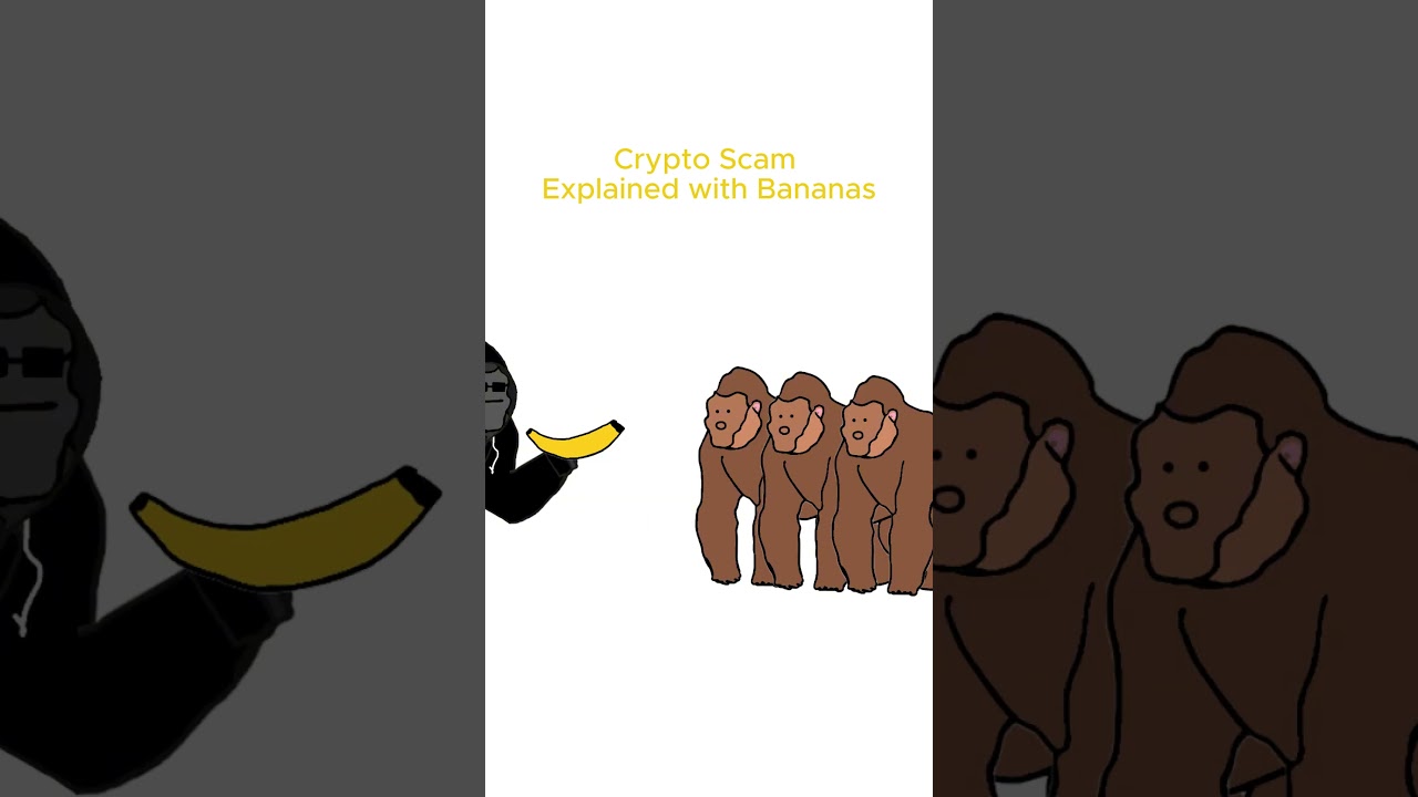 Monkey explains Rug Pull #cryptoeducation