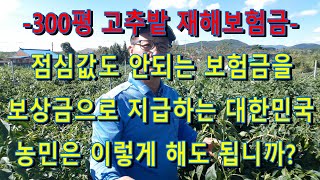 농작물 보험금의 실태