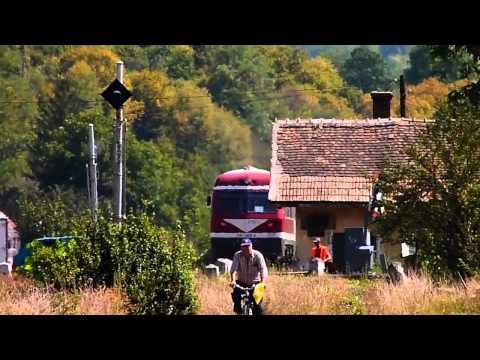 2 x VT614 cu mecanici super de treaba in Bulz (29 08 2012)