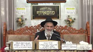 הרב יגאל כהן   •  פרשת בשלח תשפ'ו (בית הכנסת מוסאיוף) - התמונה מוצגת ישירות מתוך אתר האינטרנט יוטיוב. זכויות היוצרים בתמונה שייכות ליוצרה. קישור קרדיט למקור התוכן נמצא בתוך דף הסרטון