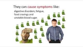 Parasite Cleanse Diet – Foods To Eat And Foods To Avoid