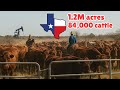 King Ranch The Untold Story Of Texas Biggest Ranch