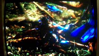 Avatar - Wakey Wakey Daddy!