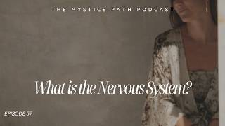 What is the Nervous System?