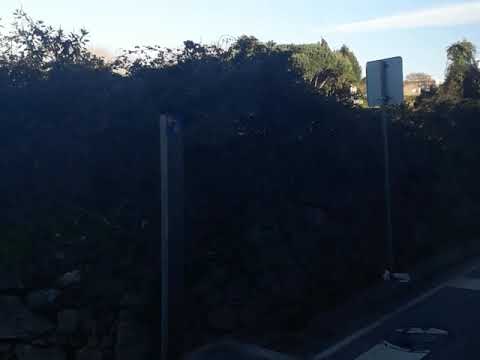 STCP 604: PADRÃO DE MOREIRA - MAIA (ZOO)