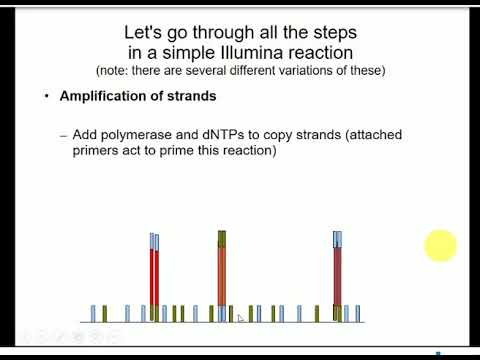 Gene Expression Analysis - Principles of Illumina Sequencing
