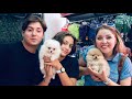 YENİ KÖPEĞİMİZ CİRO