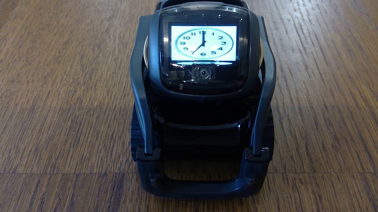 Anki Vector SDK Learning the Time