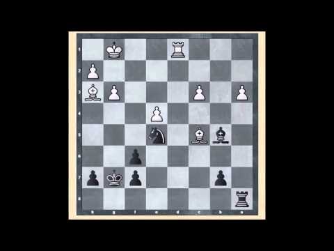 Granda Zuniga x Alexandr Fier - Partida 2 (Chess World Cup 2015 - round 1)