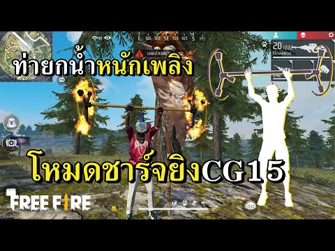 ฟีฟาย