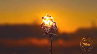 Amel Larrieux - Get Up (GYVUS Remix)