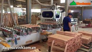 Woodmaster Cnc . MÁY LÀM MỘNG ÂM CNC 10 đầu 5*2 Bàn dài 3200mm tốt nhất thị trường VN 2020