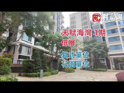 天赋海湾 Youtube Video