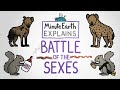 MinuteEarth Explains: Battle of the Sexes