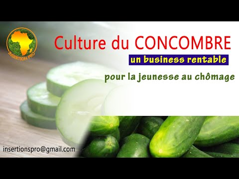, title : 'idée business: Culture du concombre, une opportunité pour la jeunesse africaine'