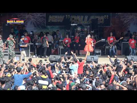 Pria Istimewa - Jihan Audy (New Pallapa live in Curug Sewu Kendal)