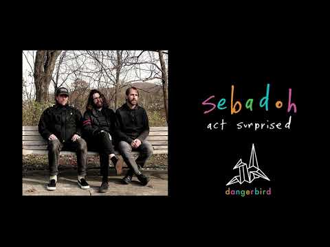 Thumbnail for Sebadoh - act surprised by Sebadoh