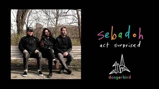 Sebadoh - act surprised