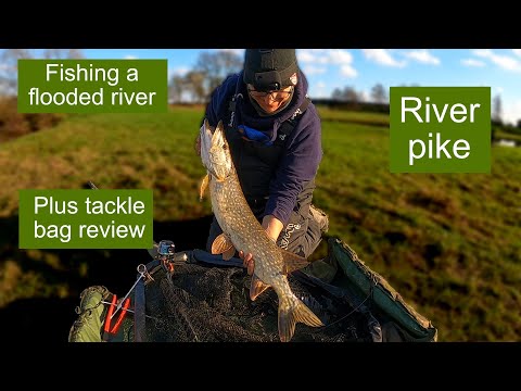 Pike fishing a flooded river
