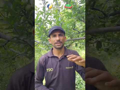 Organic Potash