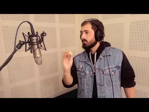 Perroloco Loco Perdido