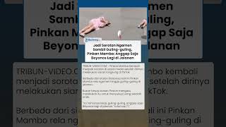 Rela Ngamen sambil Guling-guling, Pinkan Mambo: Anggap Saja Beyonce Lagi di Jalanan