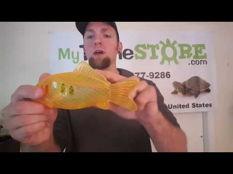 Zoo Med Floating Turtle Feeder Review