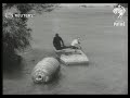 Red Hill Jr. dies in attempt to ride over Niagara Falls in a barrel (1951)