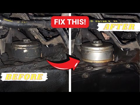 Don't be FOOLED by this OIL LEAK!  |  3rd gen 4runner