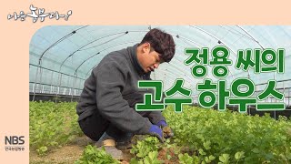[나는농부다 278회] 정용 씨의 고수 하우스