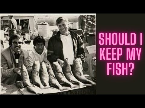 The History of Striped bass at lake mead. Why I keep all the striped bass I catch.