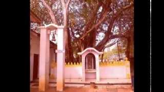 preview picture of video 'Maha Mangara Dewalaya Kadirana Demanhandiya Negombo Sri Lanka'