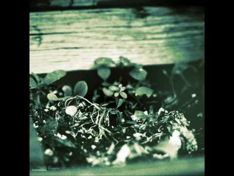 B.D.Foxmoor-Λιγα Λογια(Liga Logia)