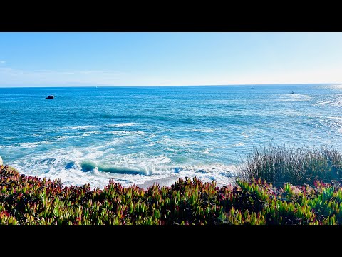Santa Cruz beach, Pacific Ocean￼