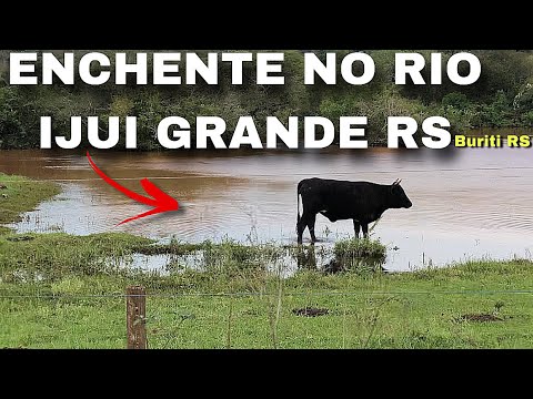 ENCHENTE no RIO IJUI GRANDE- BURITI RS- água não para de subir