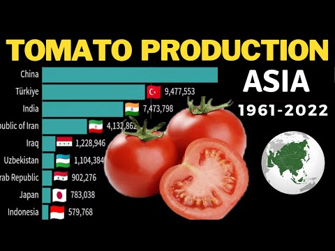Produzione di POMODORO in ASIA per Paese 1961-2022