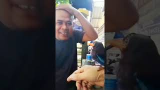 Download lagu Tengkek Buto gacor/harga Tengkek Buto mp3