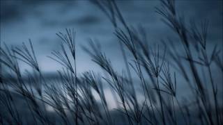 Sleep Well and Heal - Howling Windy Night - Helps Insomnia &amp; Anxiety