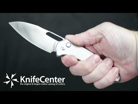 ArtisanCutlery Ornis Button Lock Folding Knife